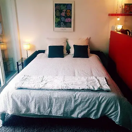 Appartement Studio Cocooning Parc Des Expositions-porte De Versailles Vanves